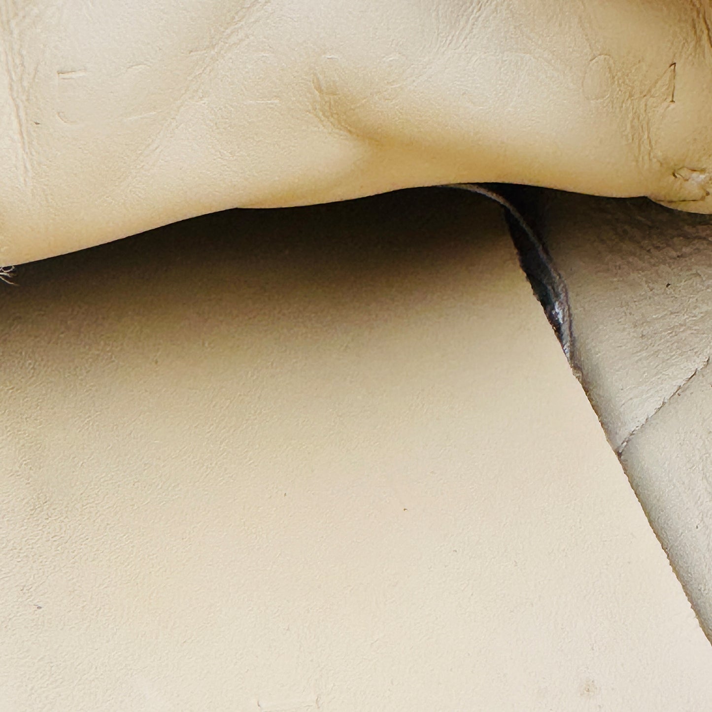 Gucci Women's ACE Leather Sneakers (Size 37/37.5)