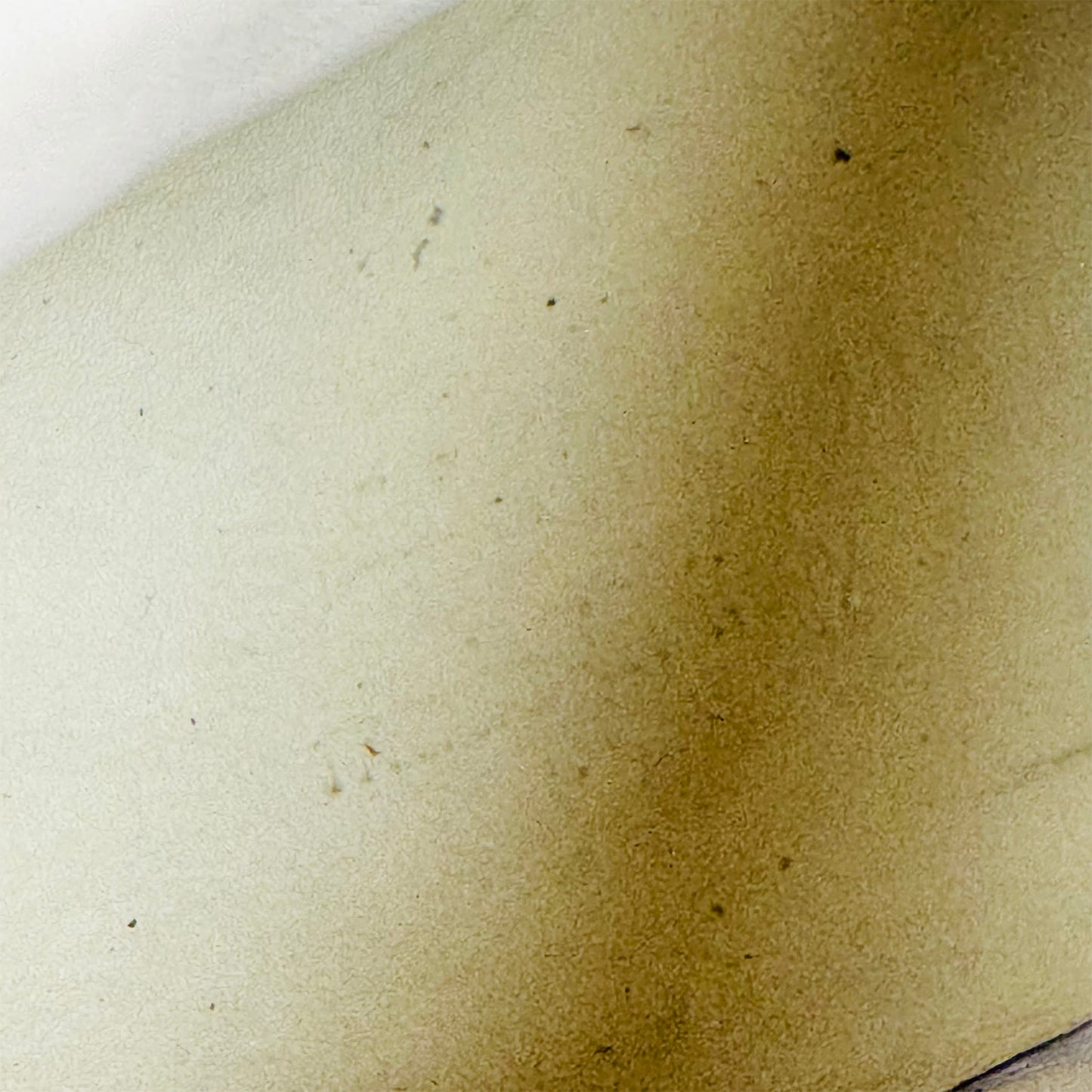 Gucci Kingsnake Calf Leather Sneakers (Size 39/39.5) - 473770