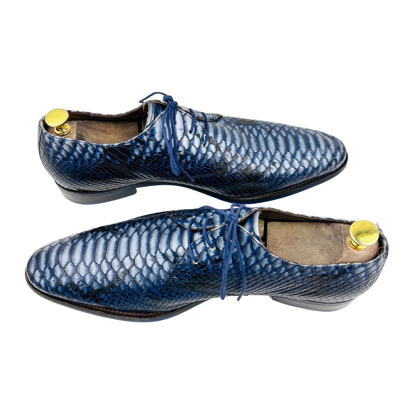 Floris van Bommel Snake Textured Derby Shoes (Size 44/44.5)