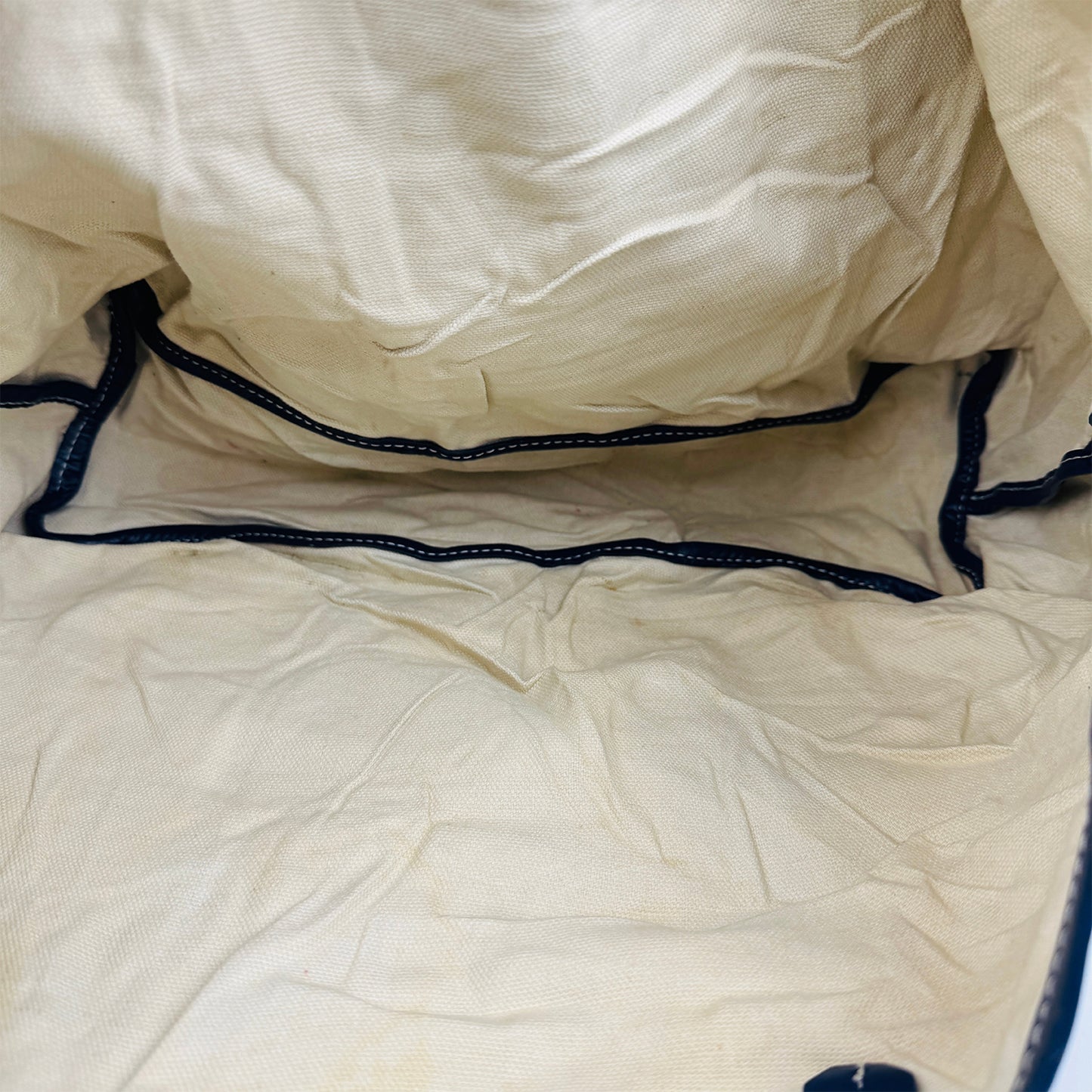 Goyard Saint Louis PM Navy Blue Tote Bag - 020152