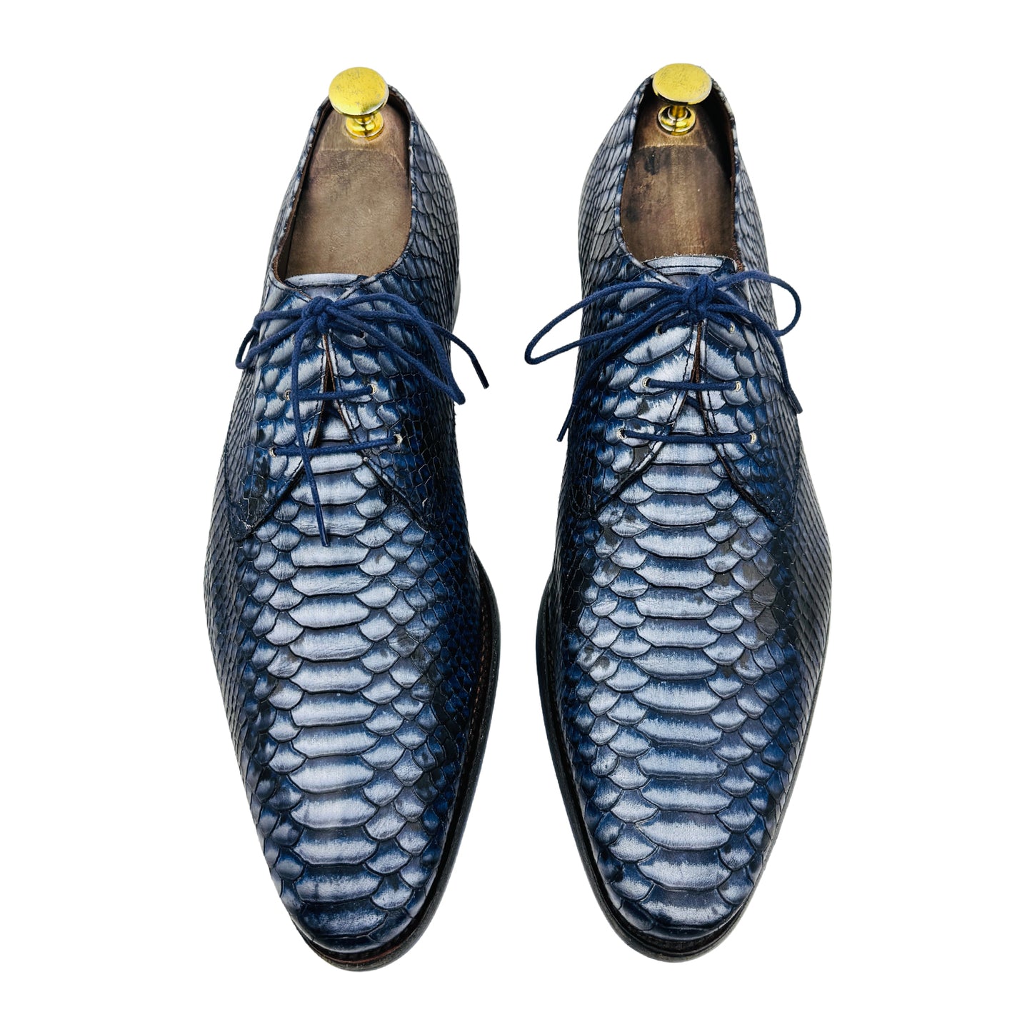 Floris van Bommel Snake Textured Derby Shoes (Size 44/44.5)