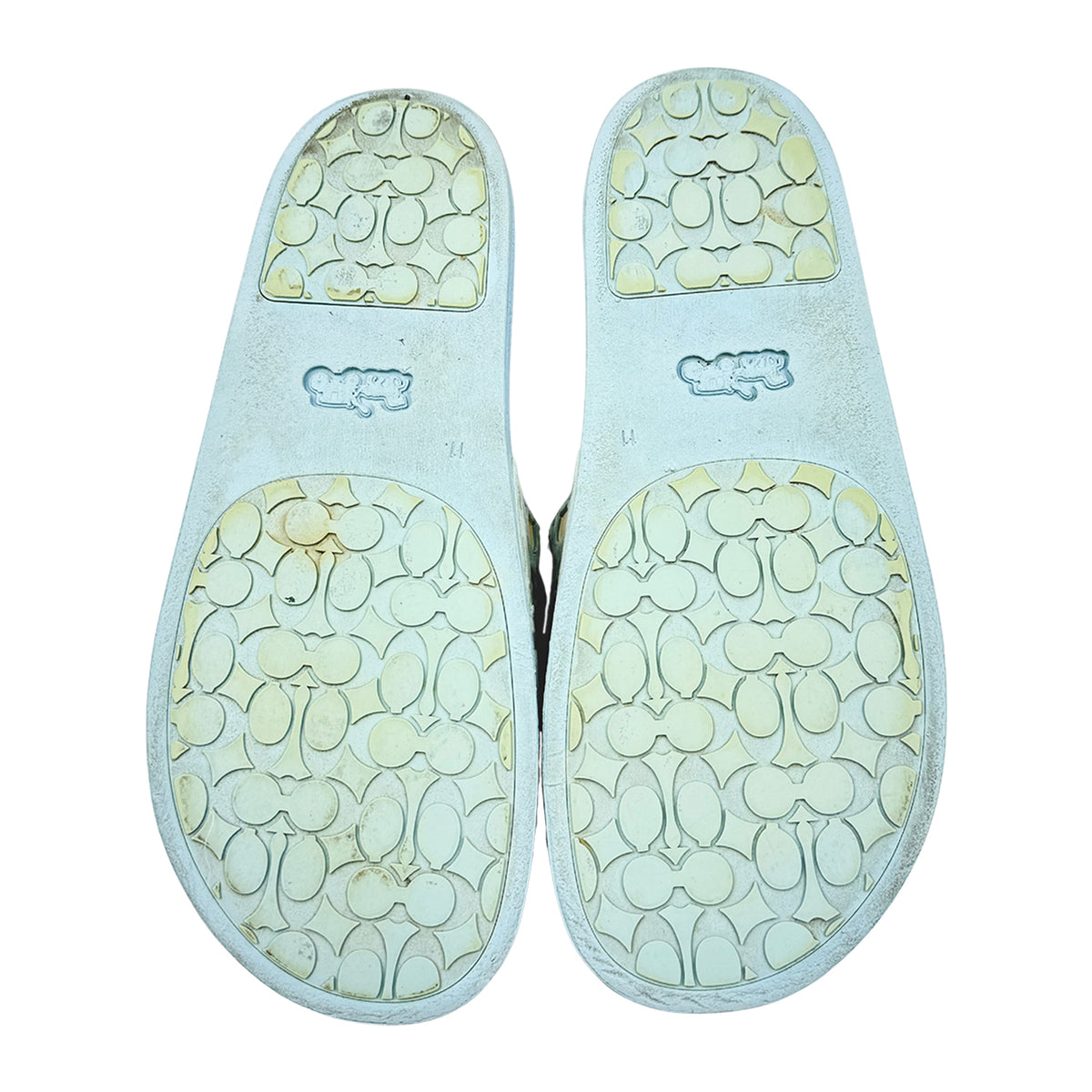 Coach Udele Sport Light Blue Slides (Size 41.5)