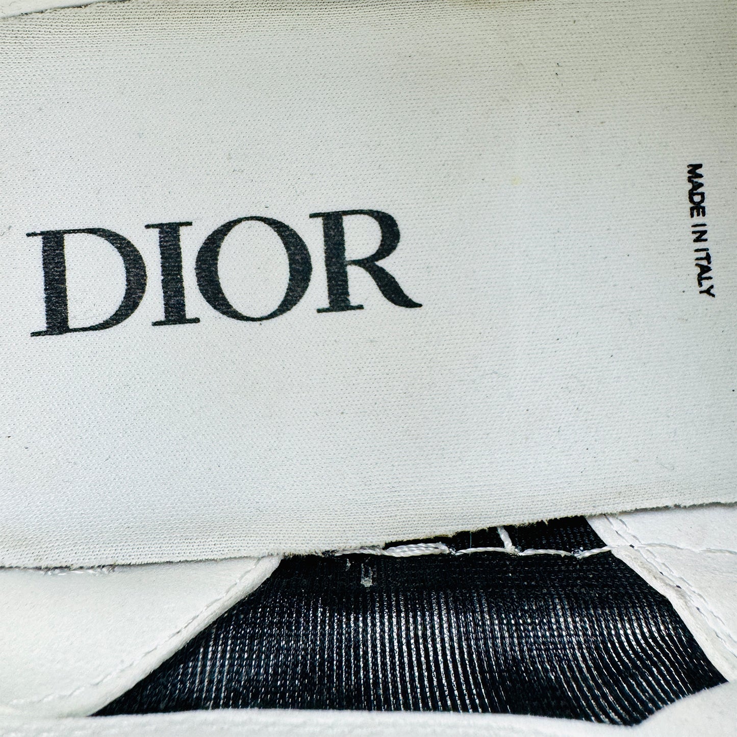 Dior B23 Low Top Oblique Canvas Sneakers (Size 43)