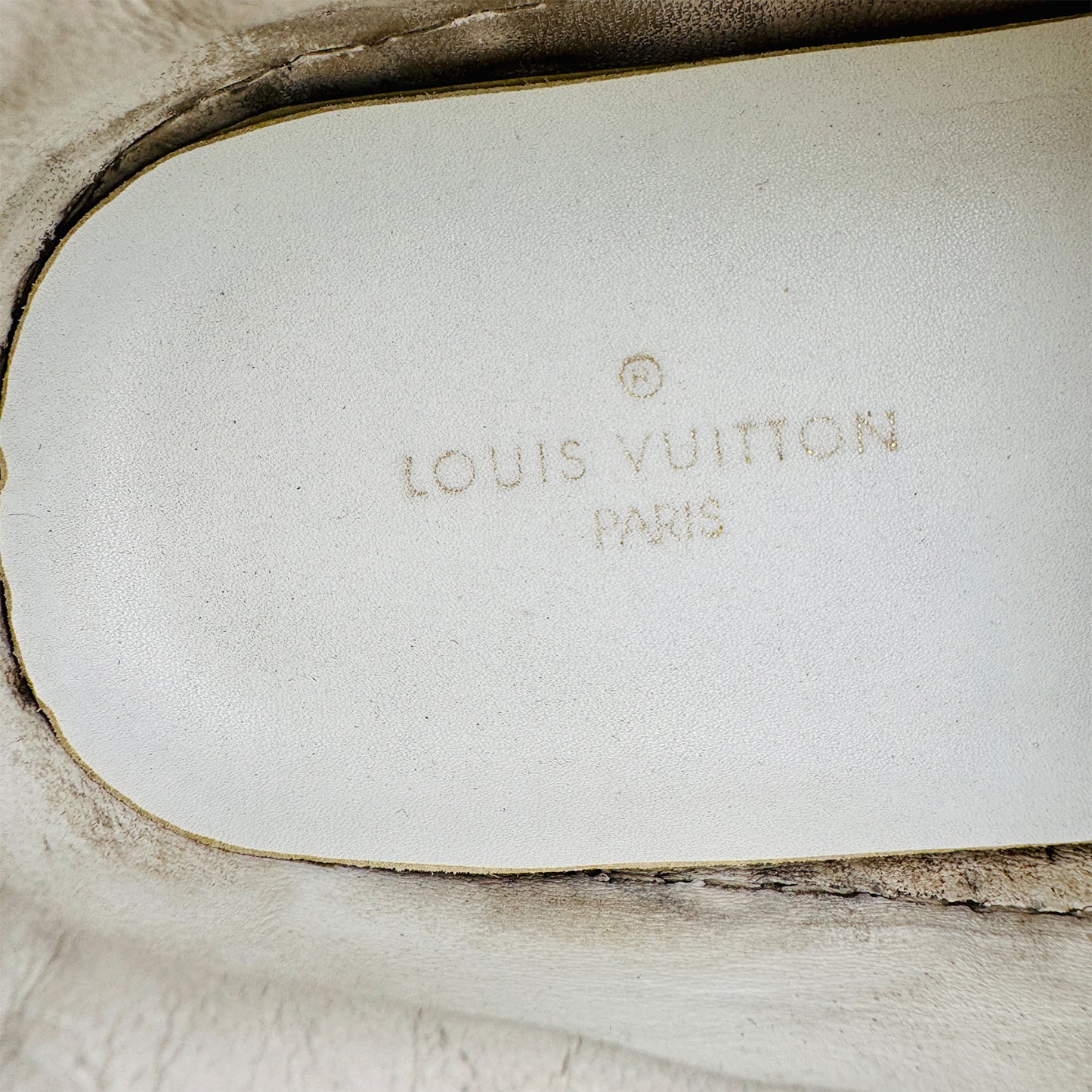 Louis Vuitton Men's Low Trainers Slip-in Shoes (Size 42)