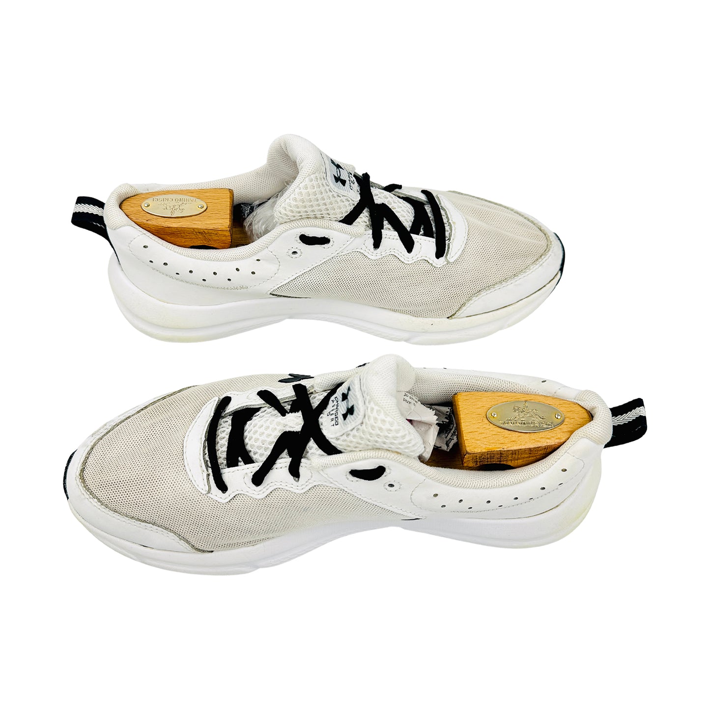 Under Armour Charged Assert 10 Shoes (Size 42.5) - 3026175-104