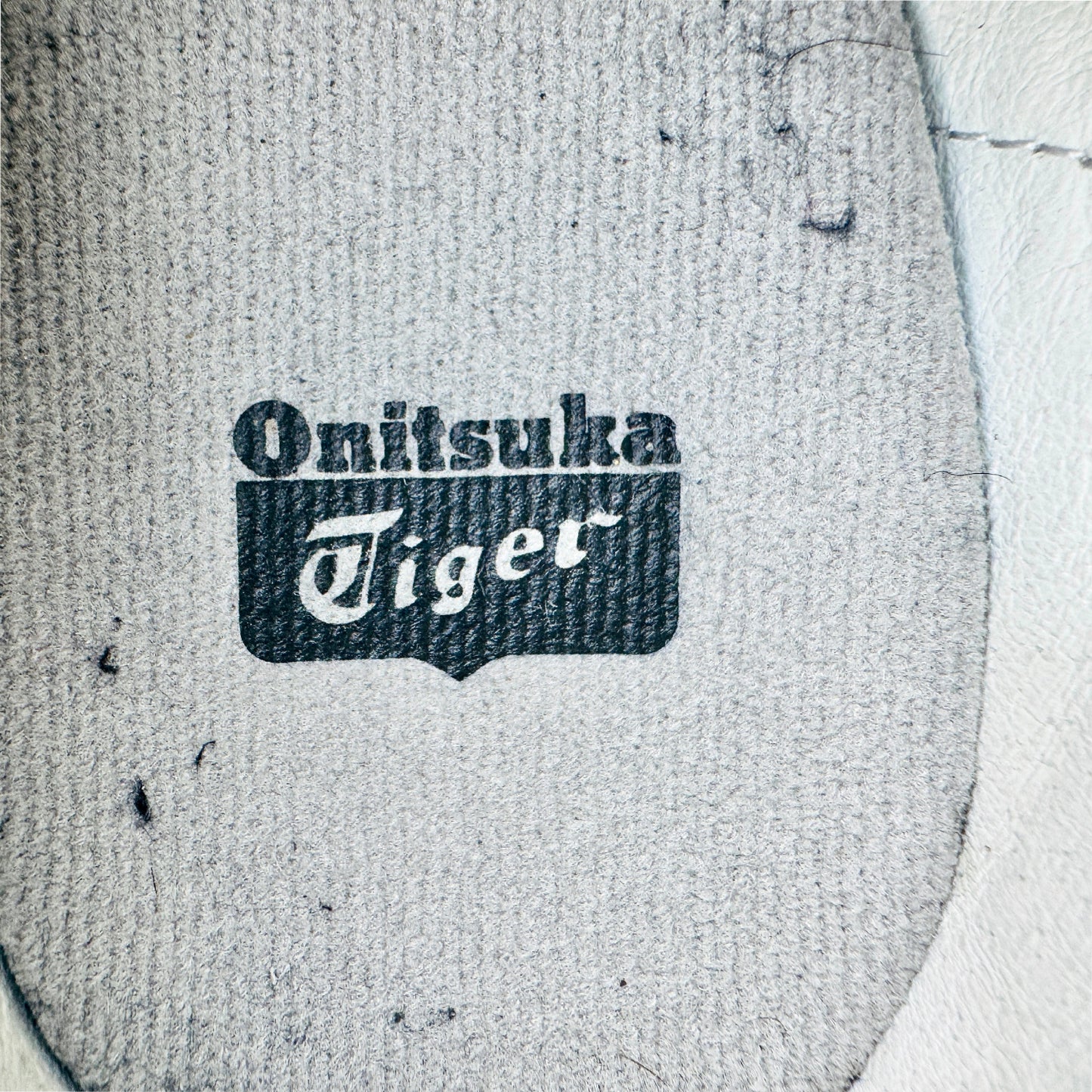 Onitsuka Tiger Serrano Shoes (Size 43.5) - D109K